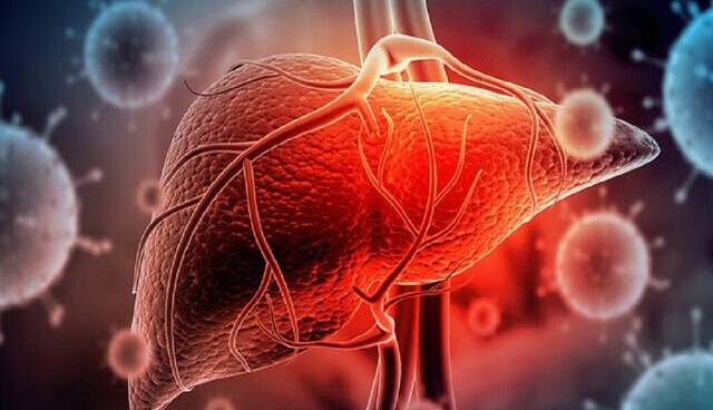 ۶ عامل خطرزا برای کبد