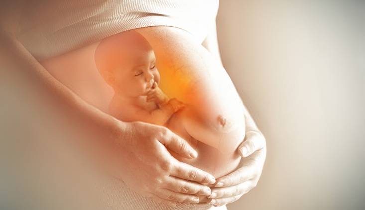 بایدها و نبایدهای روزه‌داری در طول بارداری و شیردهی