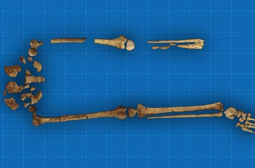 عکس | کشف قدیمی ترین عمل قطع عضو تاریخ!