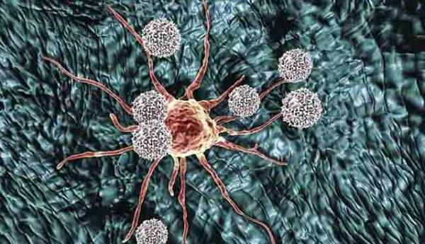 چگونه سلول های سرطانی سیستم ایمنی را از پا در می آورند؟