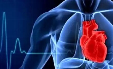 پروتئینی که باعث بیماری قلبی می‌شود
