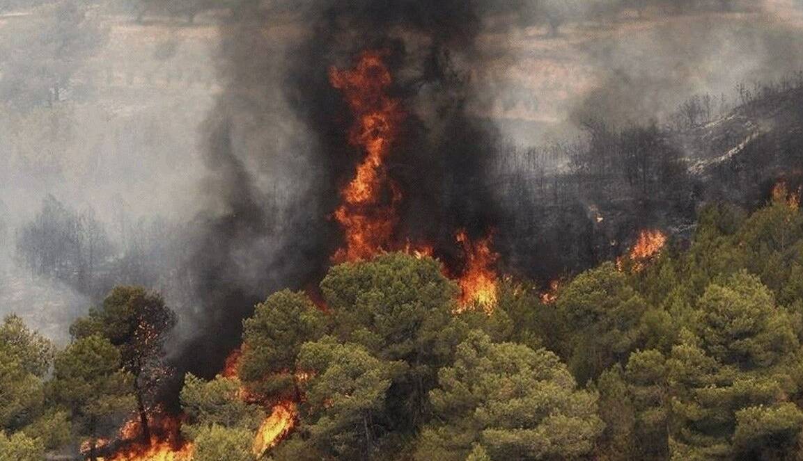 بخشی از جنگل نور مازندران آتش گرفت