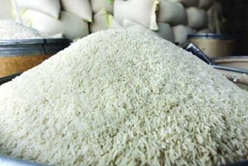 سخنگو و معاون انجمن واردکنندگان برنج ایران:
                برنج وارداتی هم از سفره مردم پر می‌کشد؟