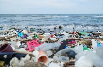 طبیعت برای جمع‌آوری زباله‌های دریایی به کمک بشر آمد
                این قارچ دریایی، پلاستیک را تجزیه می‌کند
